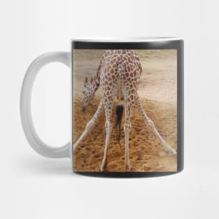 Giraffe Mug